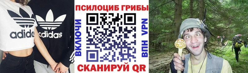 Купить закладки  Казань  Галлюциногенные грибы мицелий 